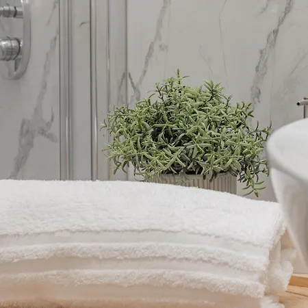 H11 Liberty In Riviera